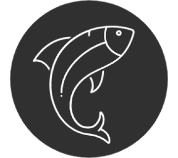 Start Fishing