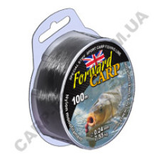 Лісочка Forward CARP 100 m 0.24mm 7.55 kg
